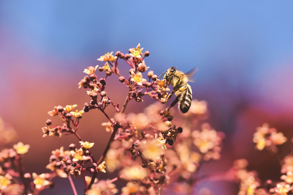 All Things Are&nbsp;Possible