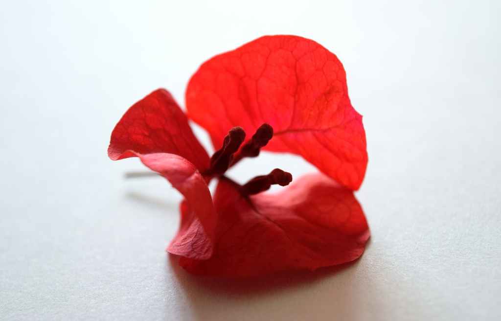 Trust Your Instincts.