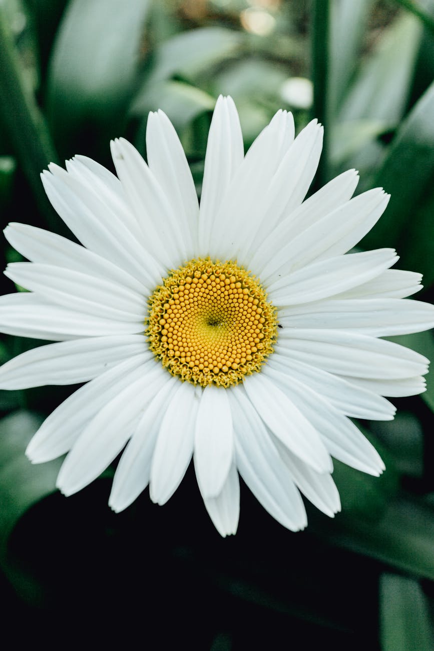 Let Life Be Beautiful!