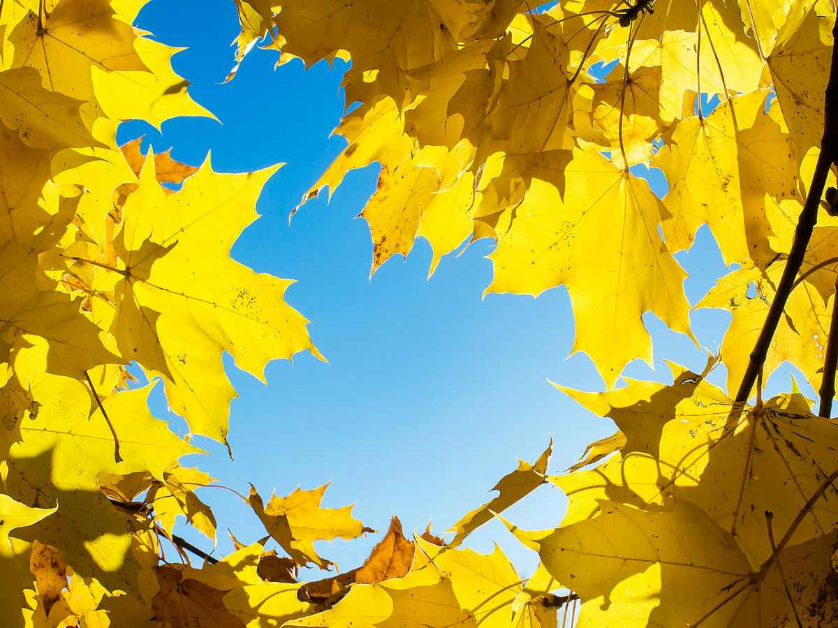 Take Charge Series&nbsp;1