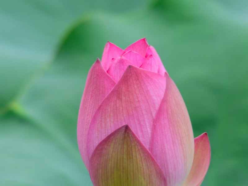 Take Charge Series&nbsp;3