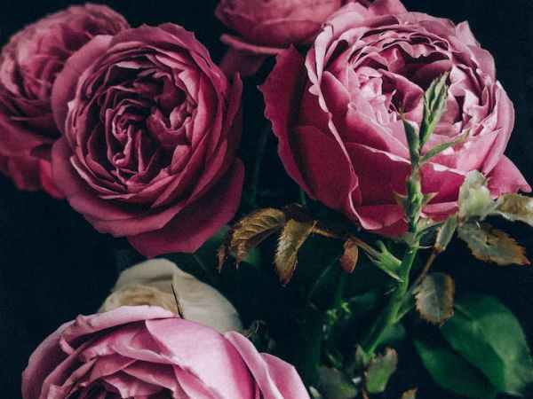 Today I Choose&nbsp;Jesus!